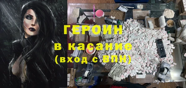 индика Киреевск