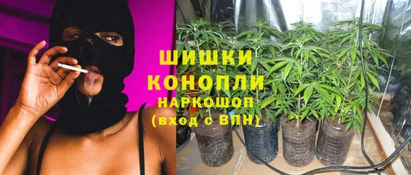 винт Арсеньев
