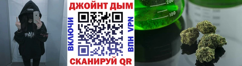 Канабис индика  kraken   Буй 